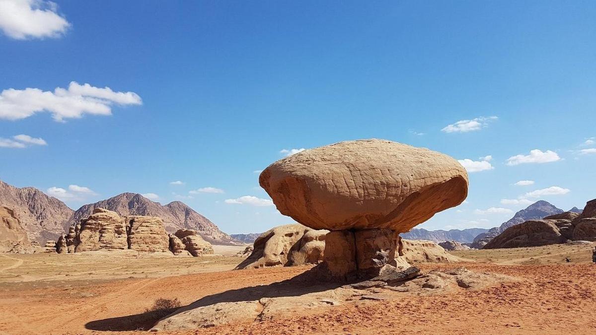 Moon City With Jeep Trips Wadi Rum Eksteriør bilde