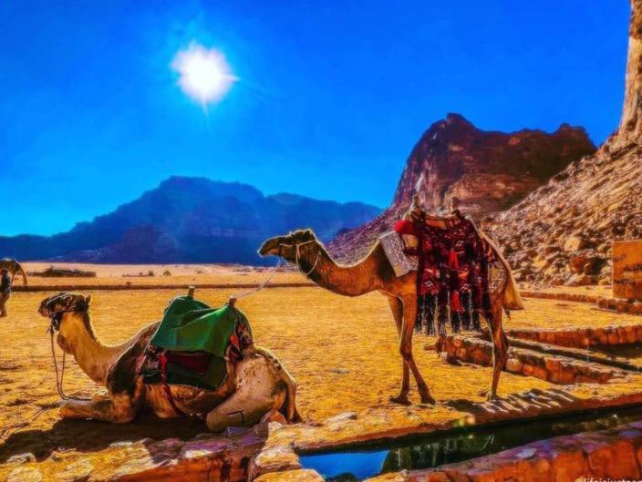 Moon City With Jeep Trips Wadi Rum Eksteriør bilde