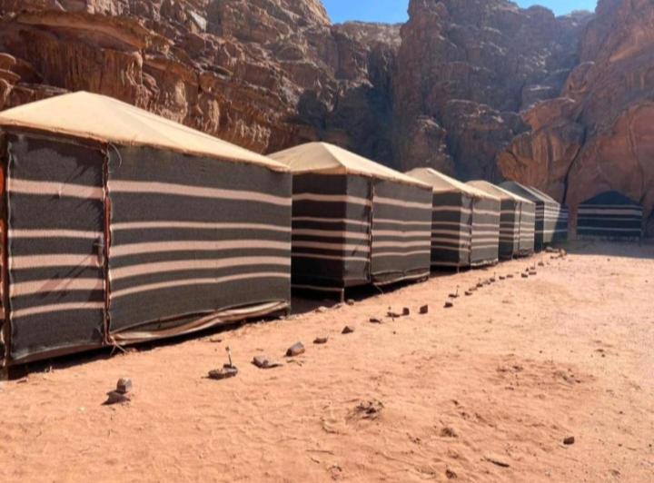 Moon City With Jeep Trips Wadi Rum Eksteriør bilde